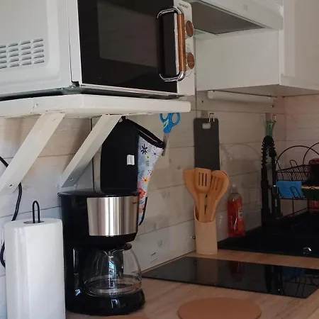 Petit Cabanon De Bois Apartment